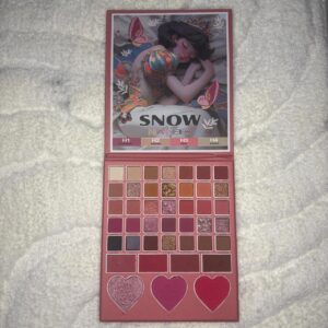 42 Color Eyeshadow Palette/ Snow Naked