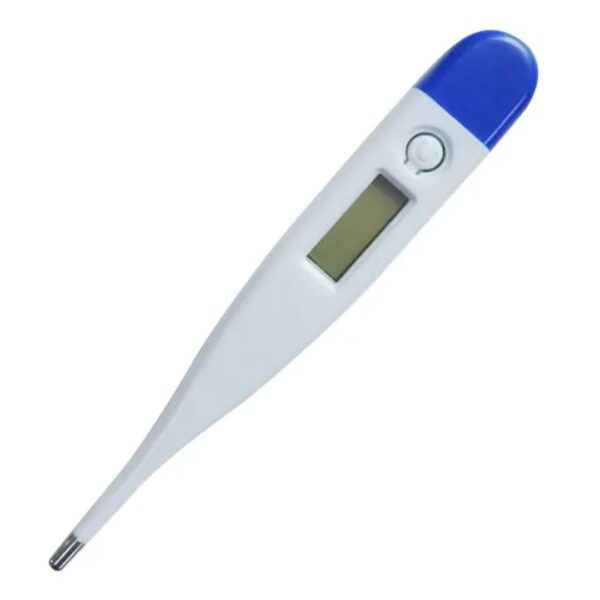 Fahrenheit Home Use Digital Thermometer - Image 2