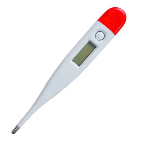 Fahrenheit Home Use Digital Thermometer - Image 3